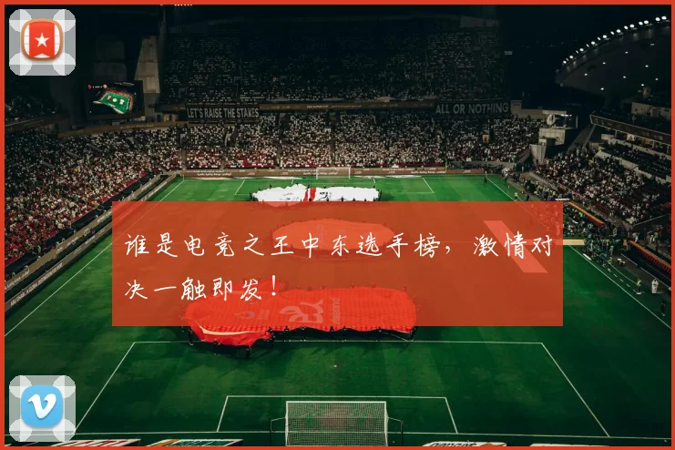 谁是电竞之王中东选手榜，激情对决一触即发！